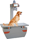 Рентгеновское оборудование для ветеринарии
